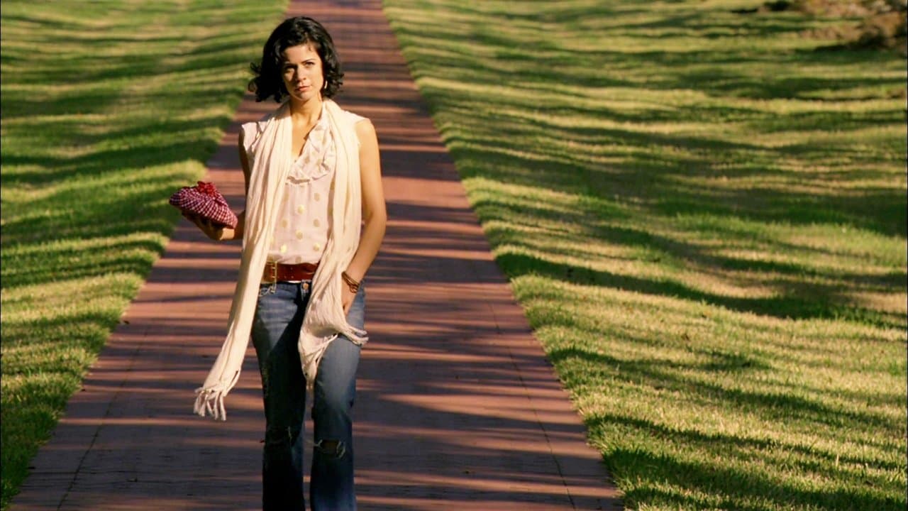 Medianoche en el pantano