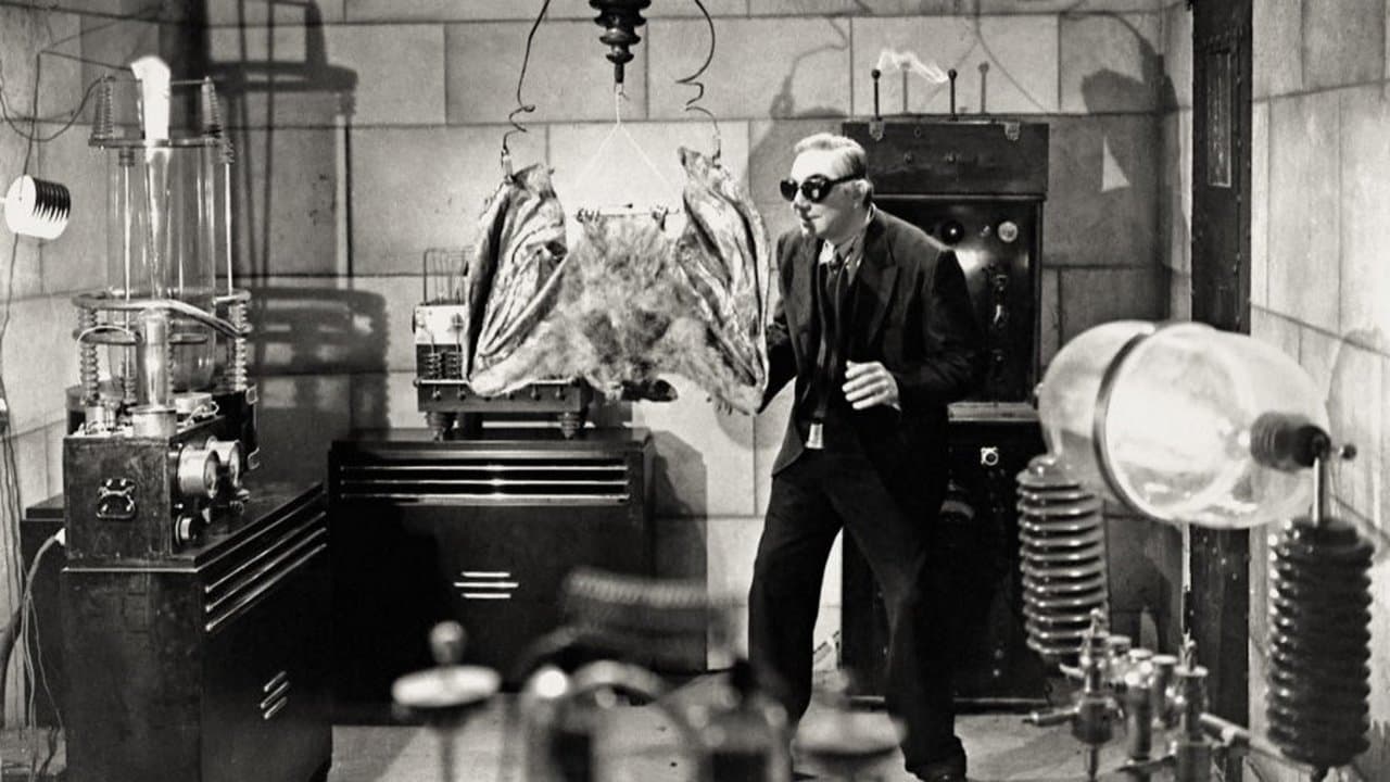 El murciélago diabólico