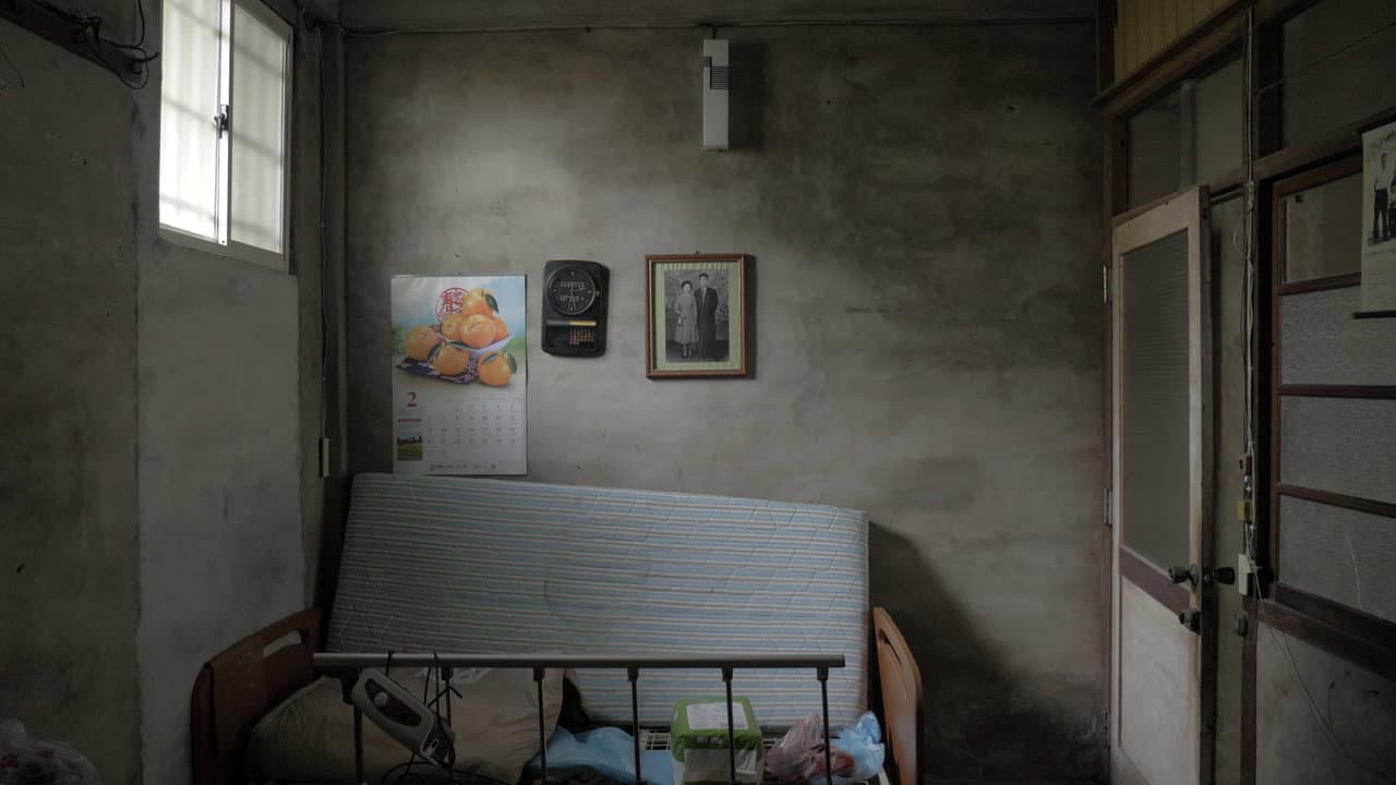 屋舍上的葉仔花