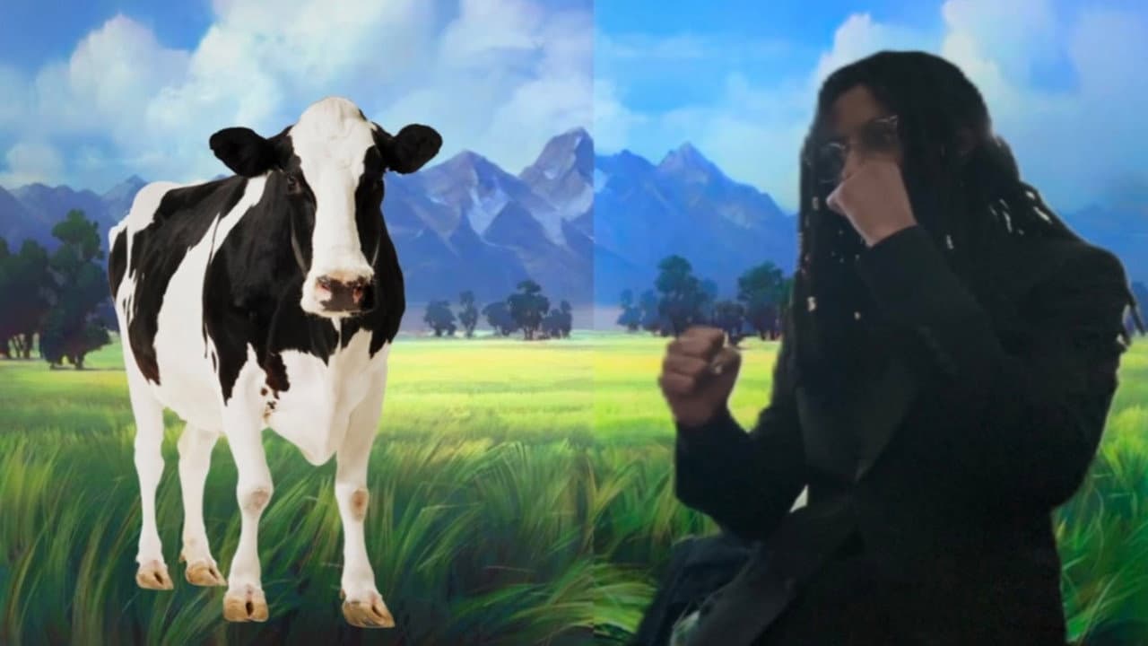 The Adventures of Tye M. Traveler