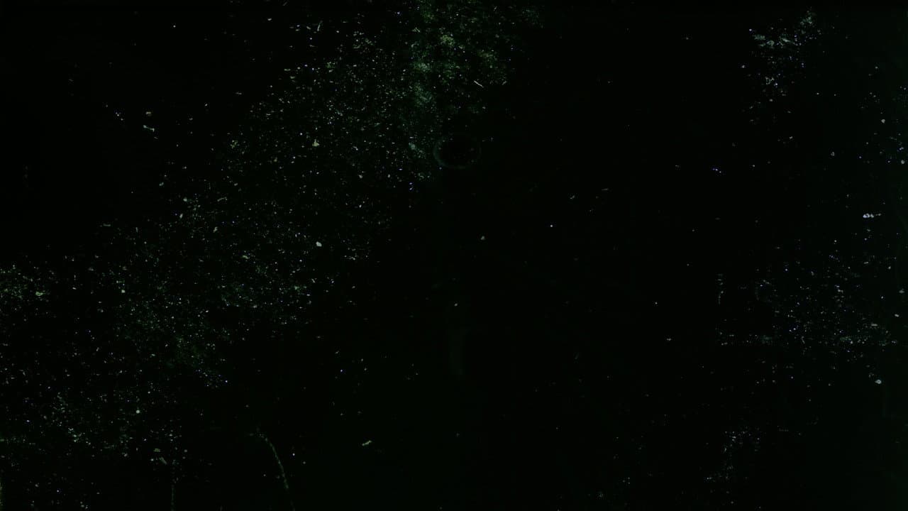 Here are some Images