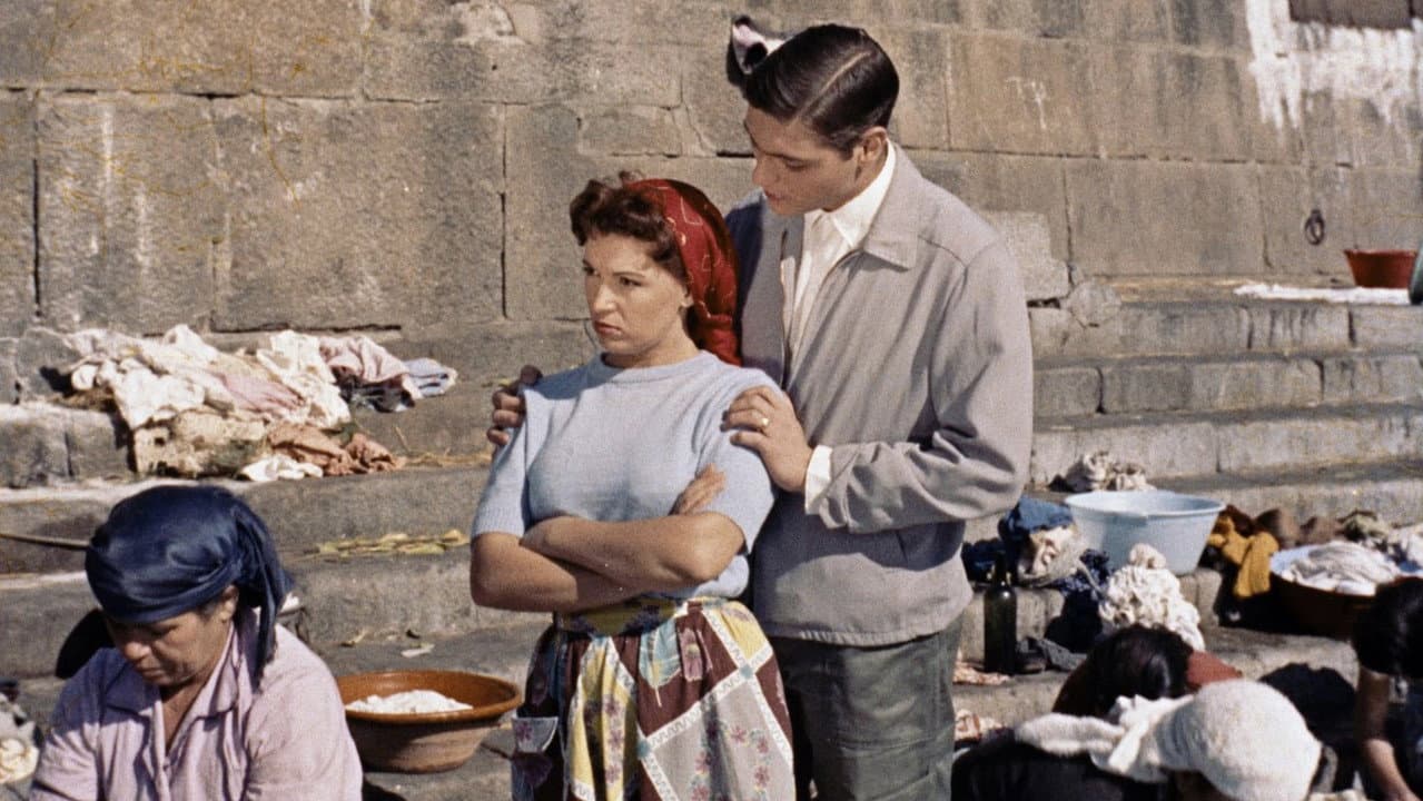 O Passarinho da Ribeira