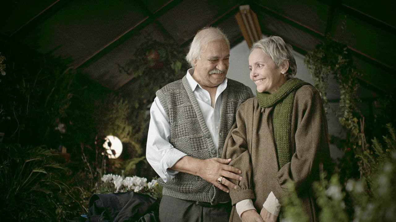 La fiesta de despedida