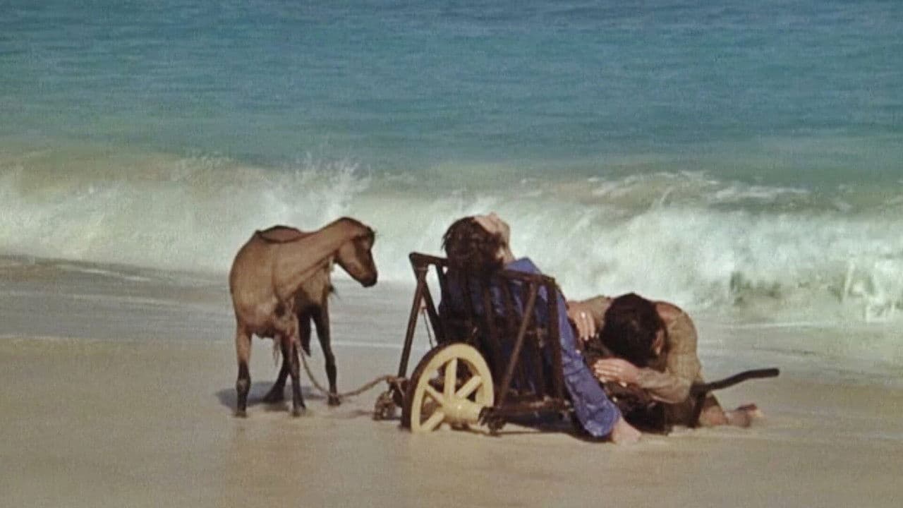 Iré como un caballo loco