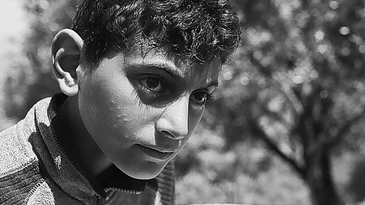 Todos vosotros sois capitanes