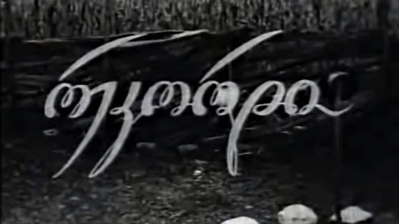 რეკორდი