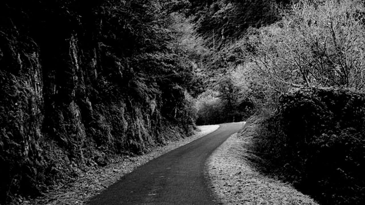 Elogio de la distancia