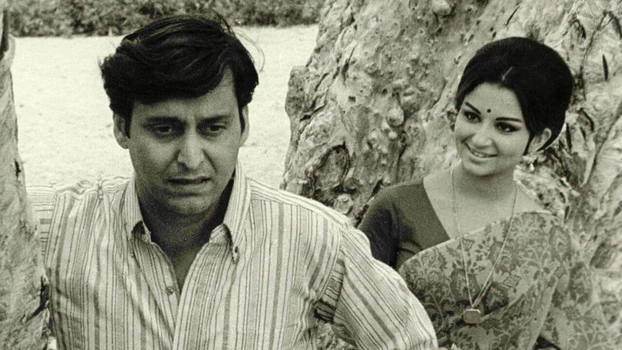 Días y noches en el bosque