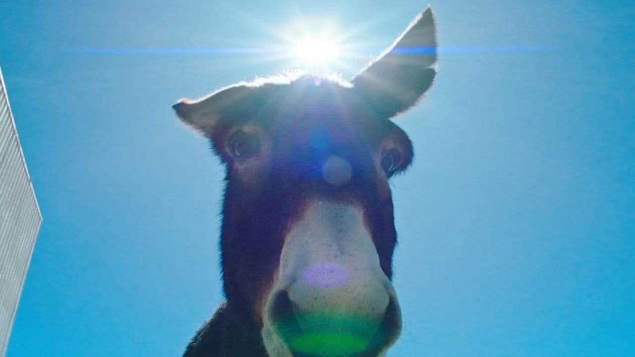 Perfectly a strangeness