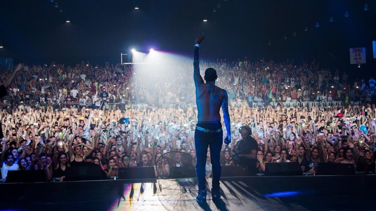 Chris Brown: Bienvenidos a mi vida