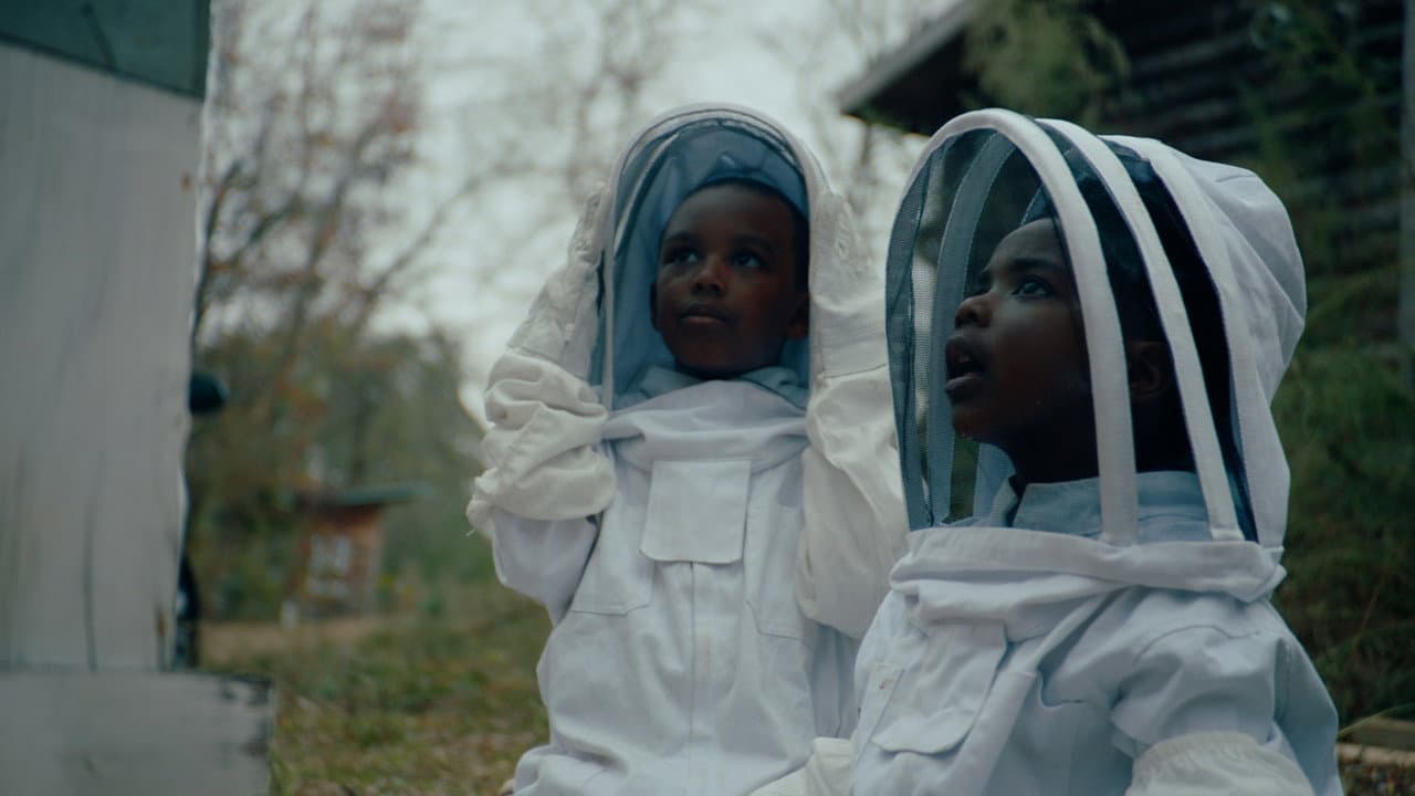 The Boys and the Bees