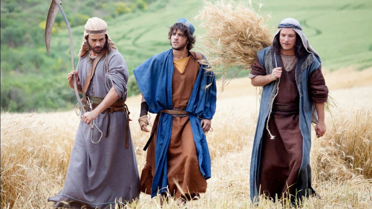 Los Milagros De Jesus
