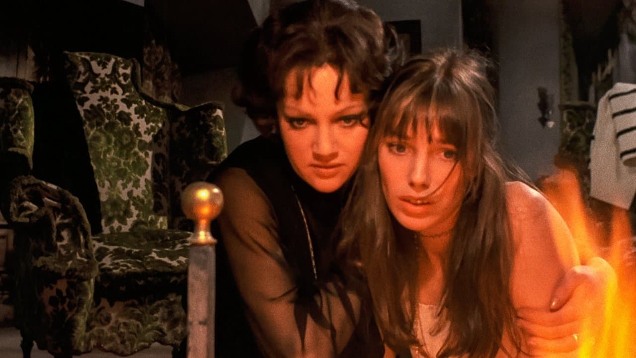 Siete muertos en el ojo del gato