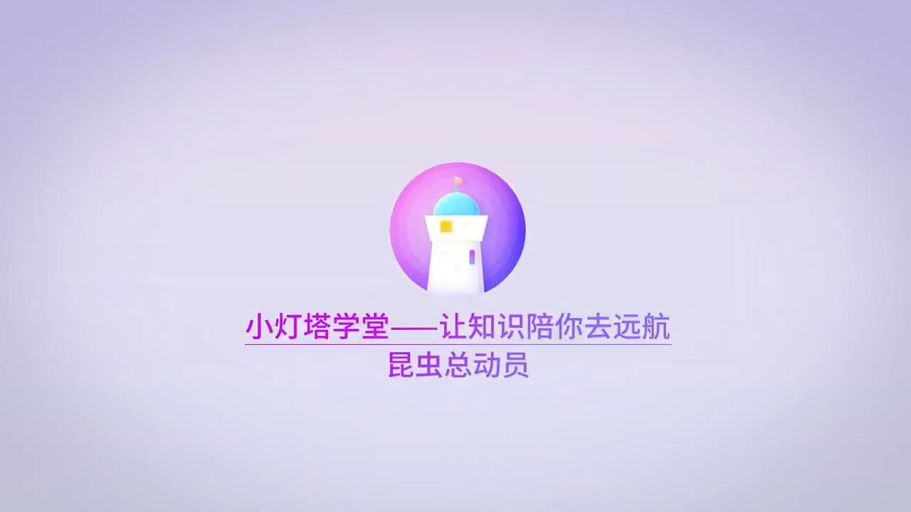 昆虫世界儿童动画