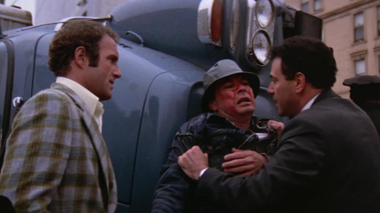 Una extraña pareja de polis