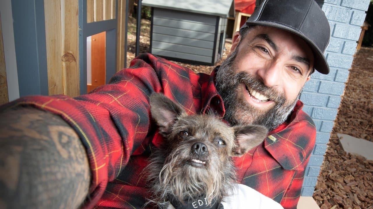 Supercasas para mascotas