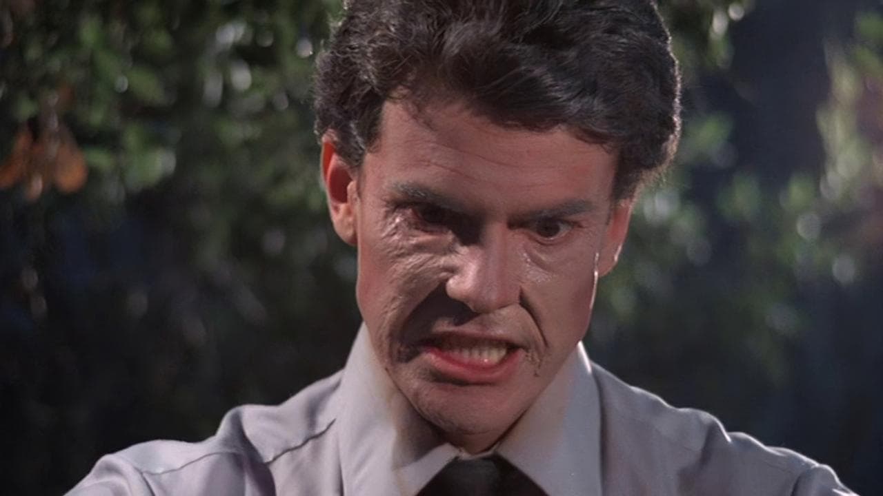 No vayas cerca del parque