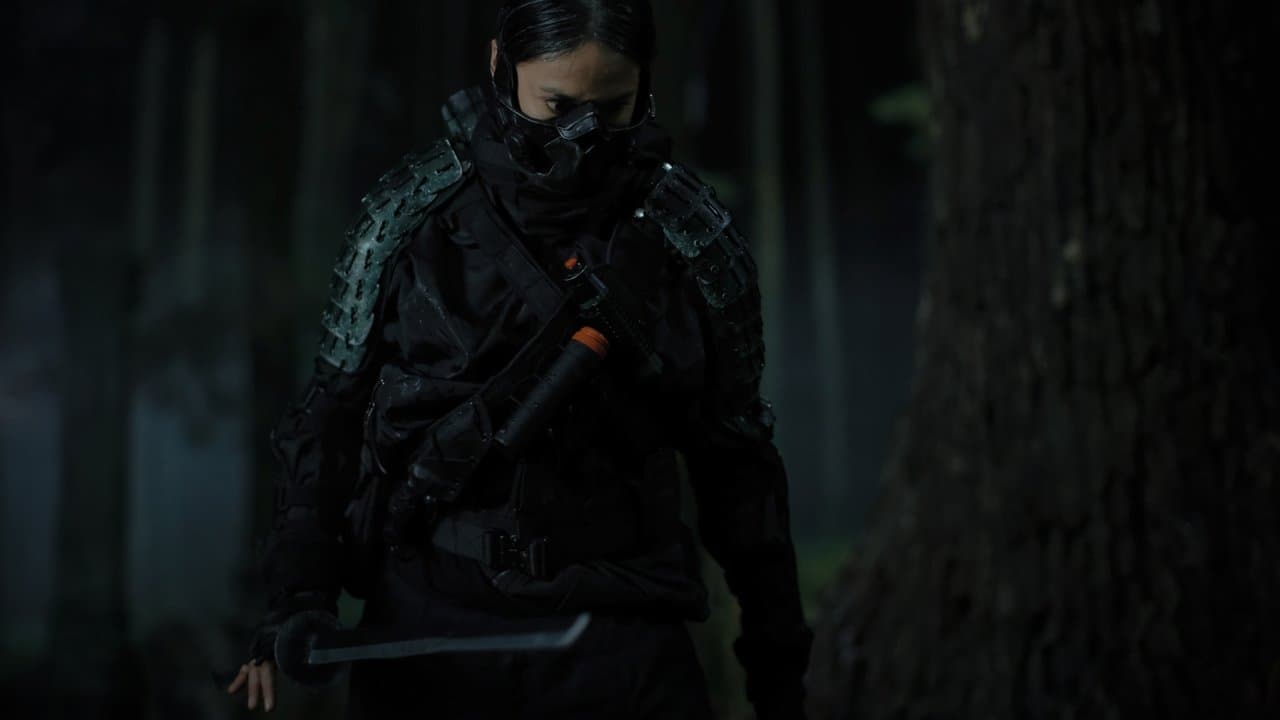 Fuera de las sombras