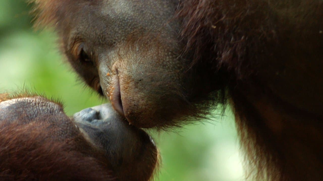 Sobrevolando el ecuador
