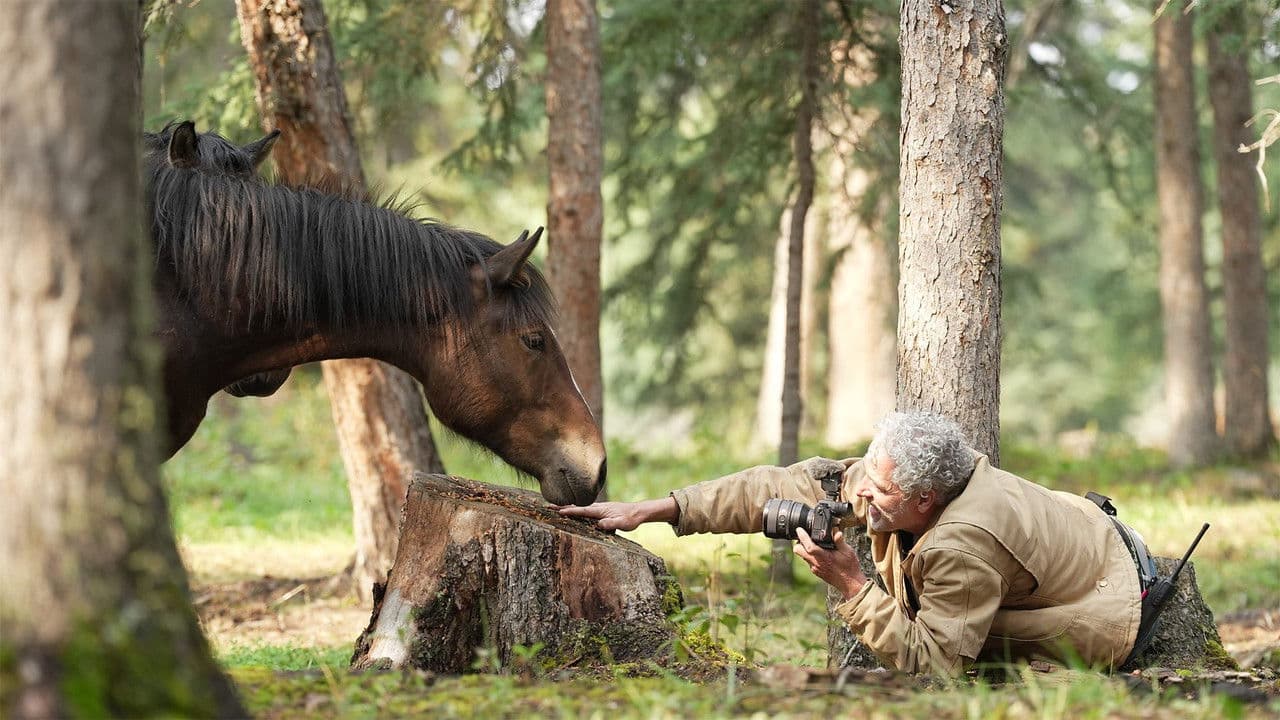 Aventura a caballo con Gordon Buchanan