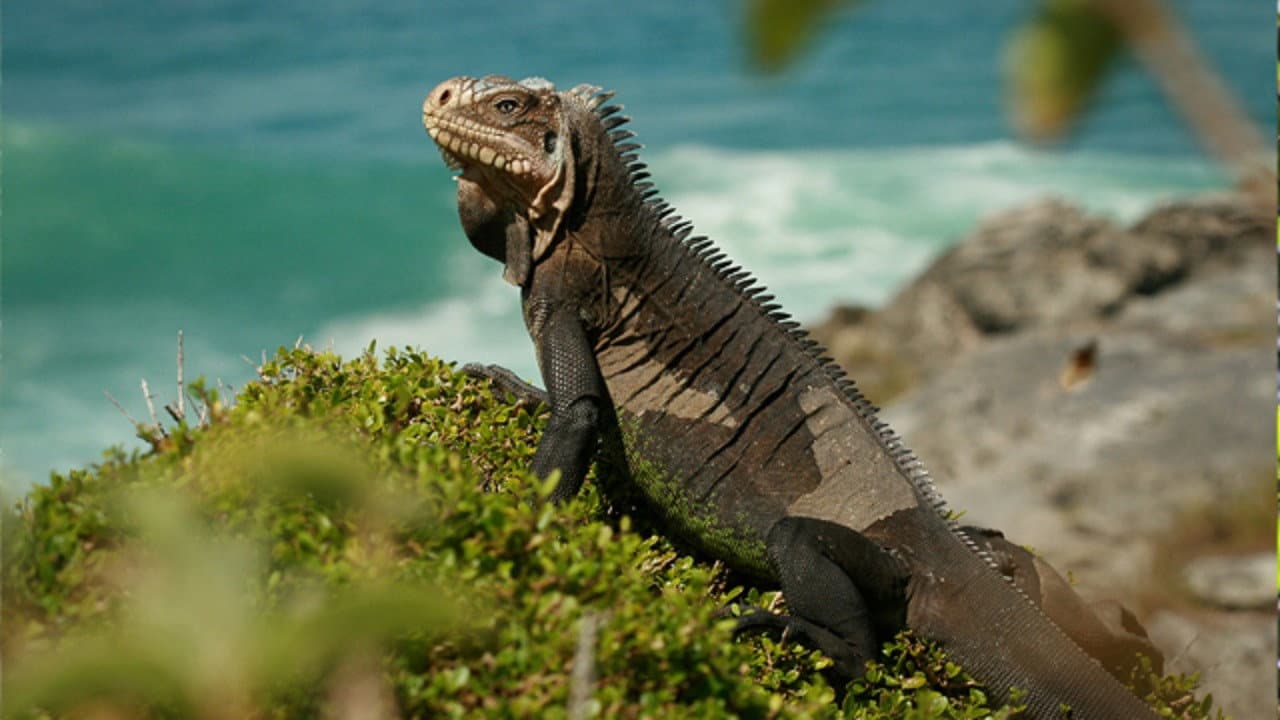 República Dominicana, tesoro del Caribe