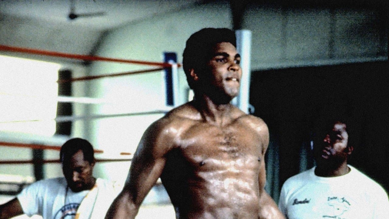 Cuando éramos reyes