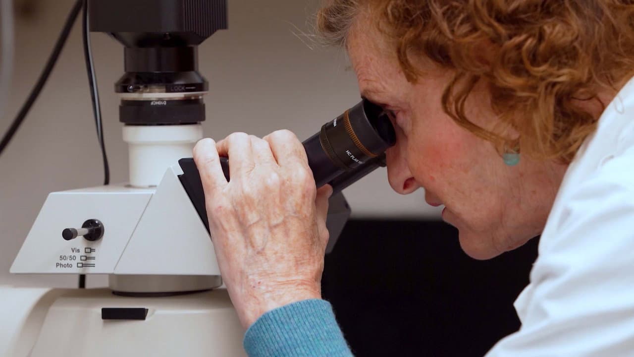 Todos somos plástico