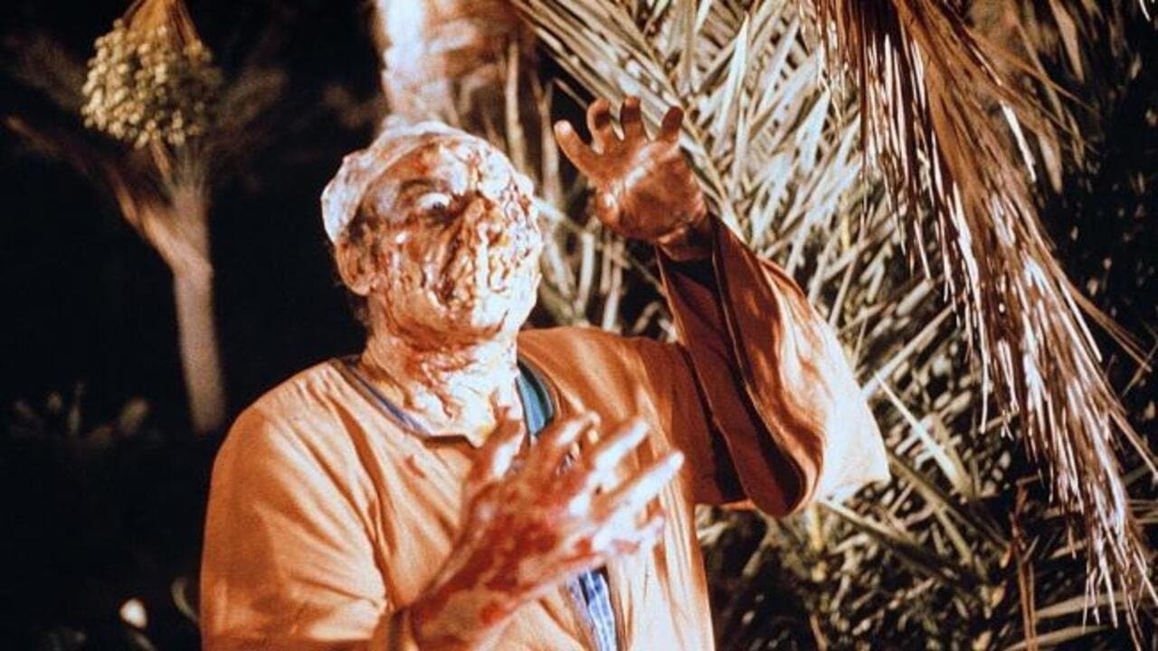 El despertar de la momia