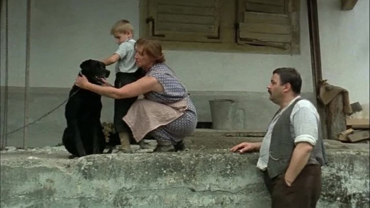 La barca está llena