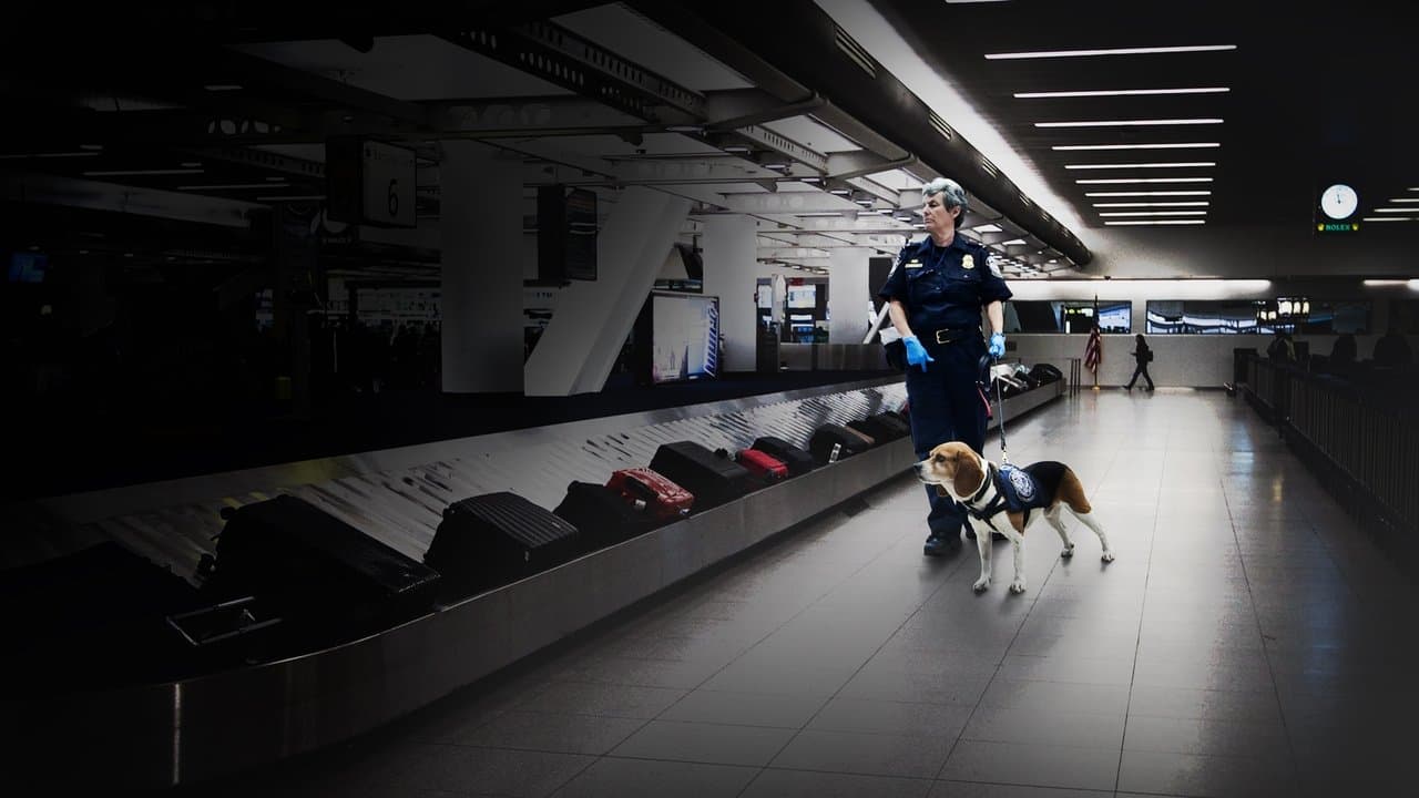 Control de aeropuertos: USA