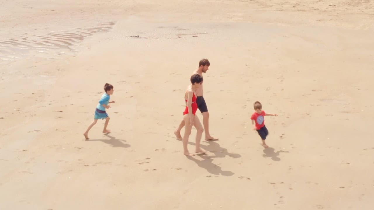 Le rêve des cigognes