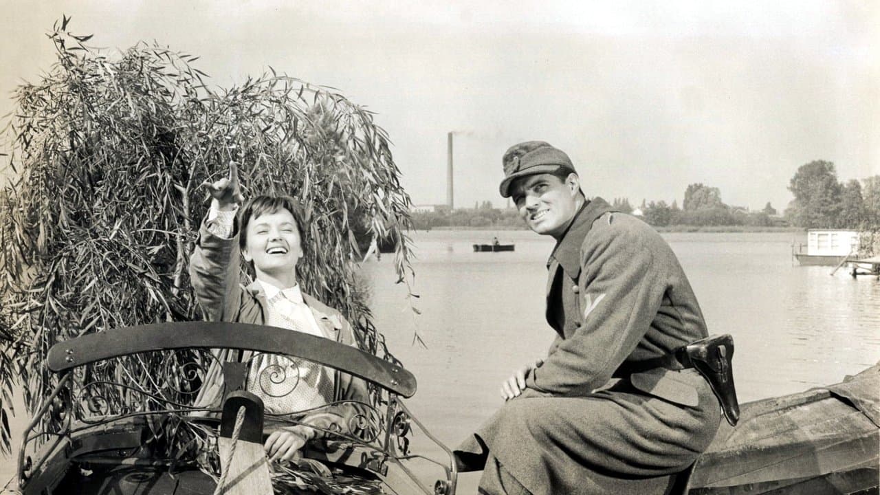 Tiempo de amar, tiempo de morir