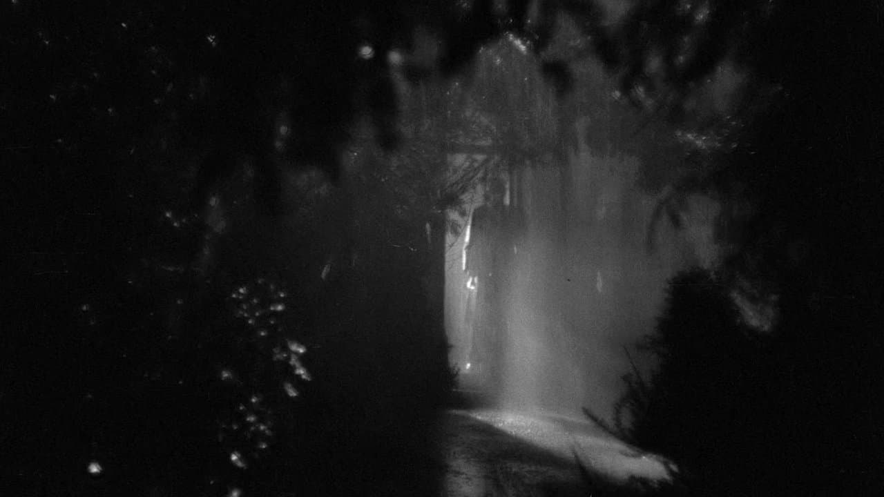 La noche tiene ojos