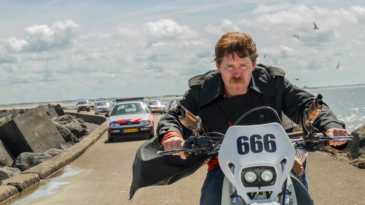 El especialista low cost