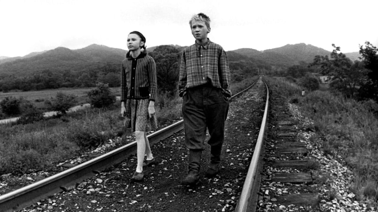 Quieto, muere, resucita