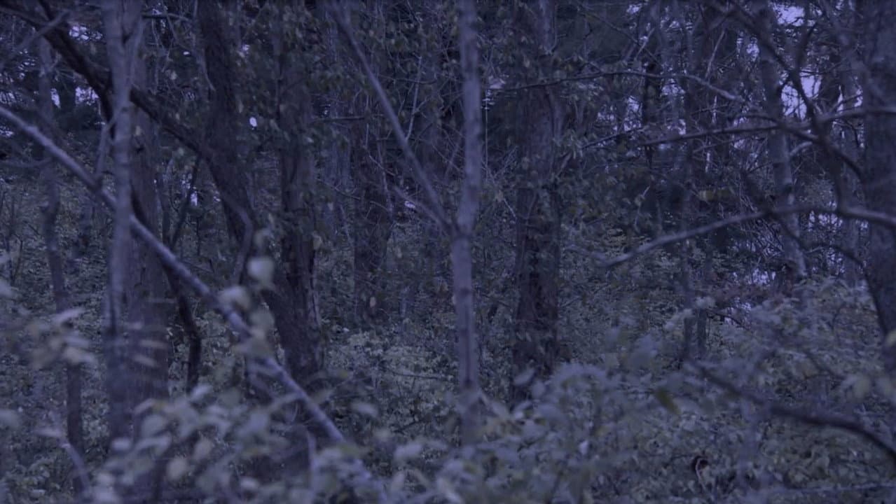 Sometime, Somewhere, in Bellwood