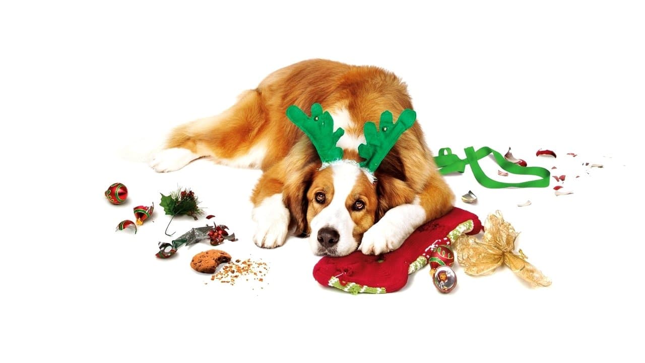 Navidades, ¿bien o en familia?