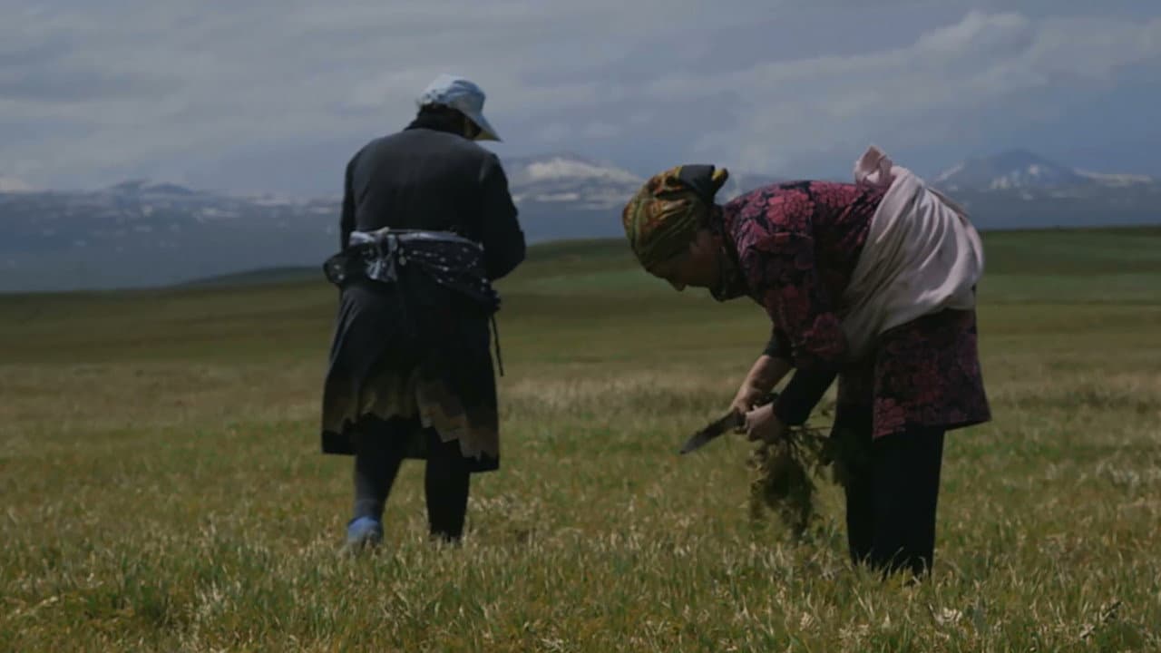 Կանանց Գյուղը