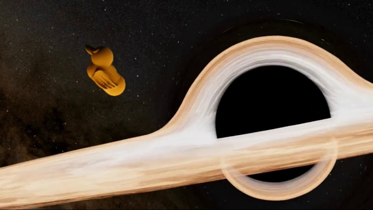 Duck vs. Car