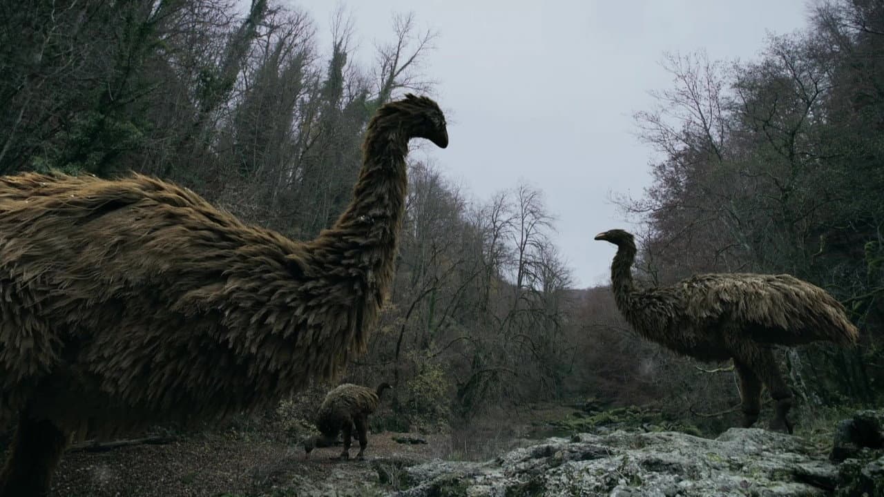 El misterio de las aves prehistóricas