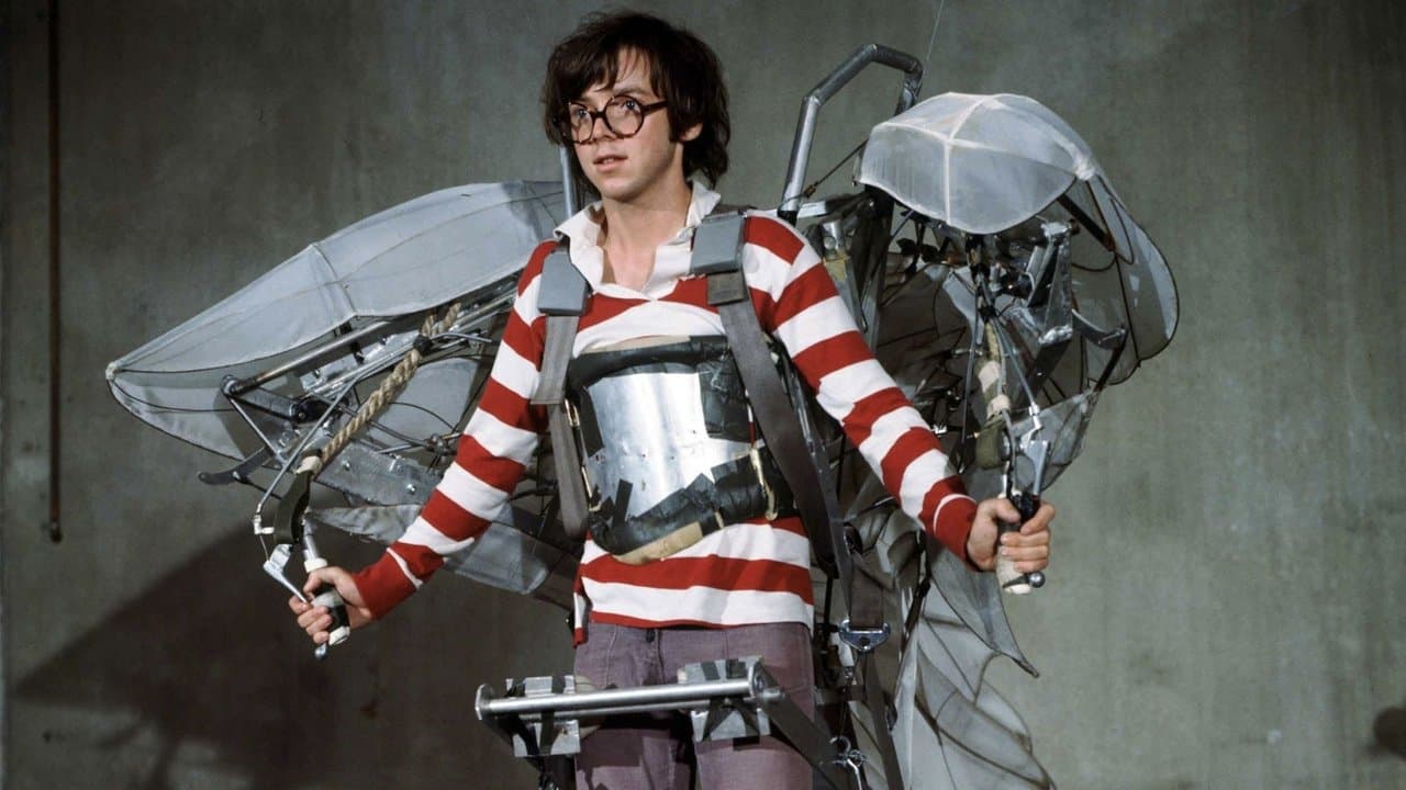 El volar es para los pájaros