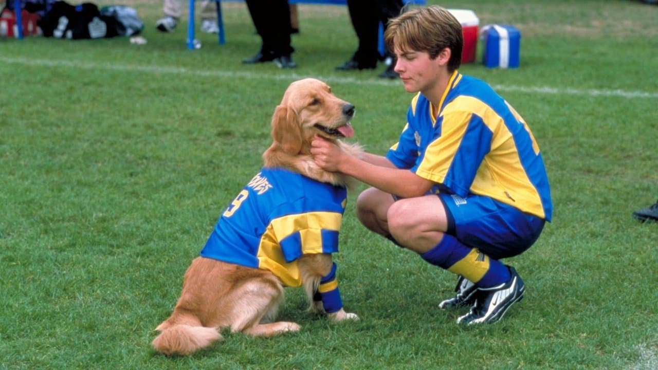 Air Bud 3: Los cachorros de Buddy