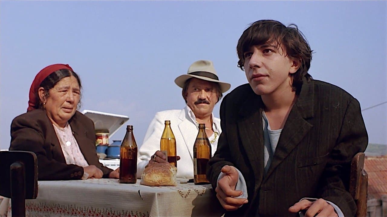 El tiempo de los gitanos