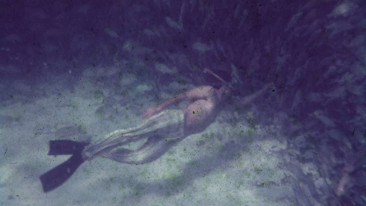 Salvado de las aguas
