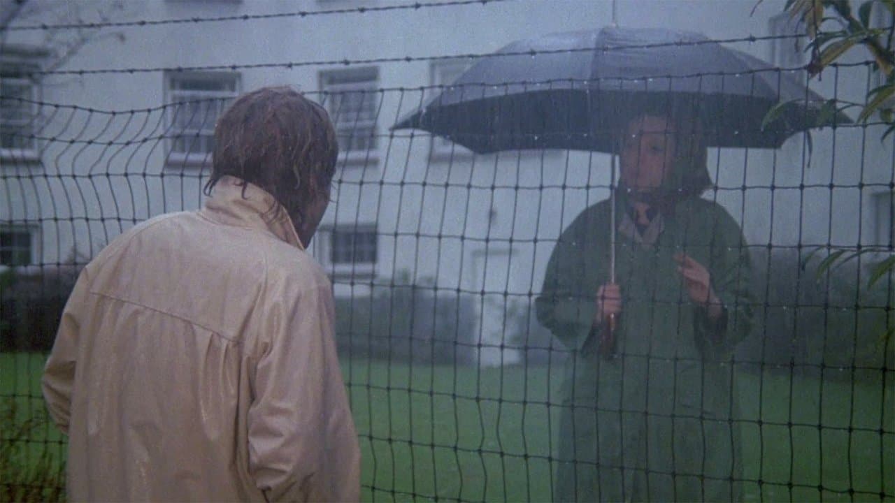 Aquel día frío en el parque