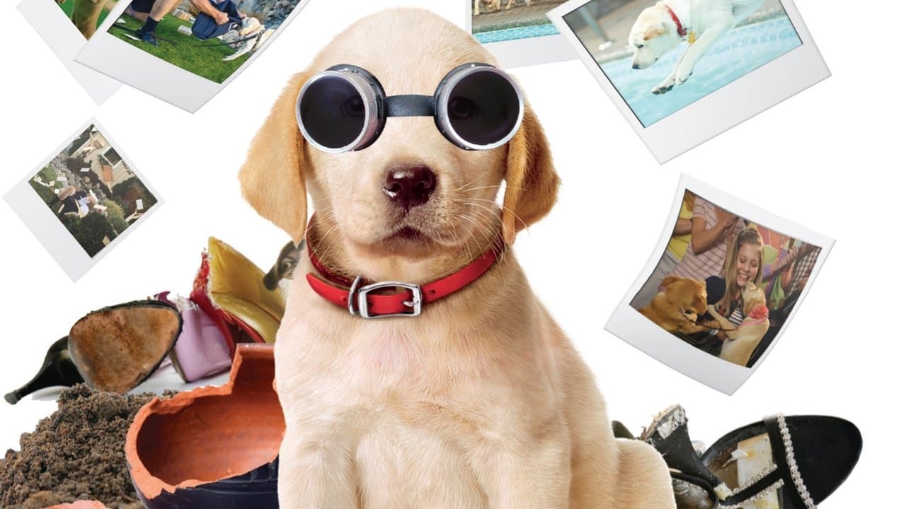 Una pareja de tres: Los años cachorros