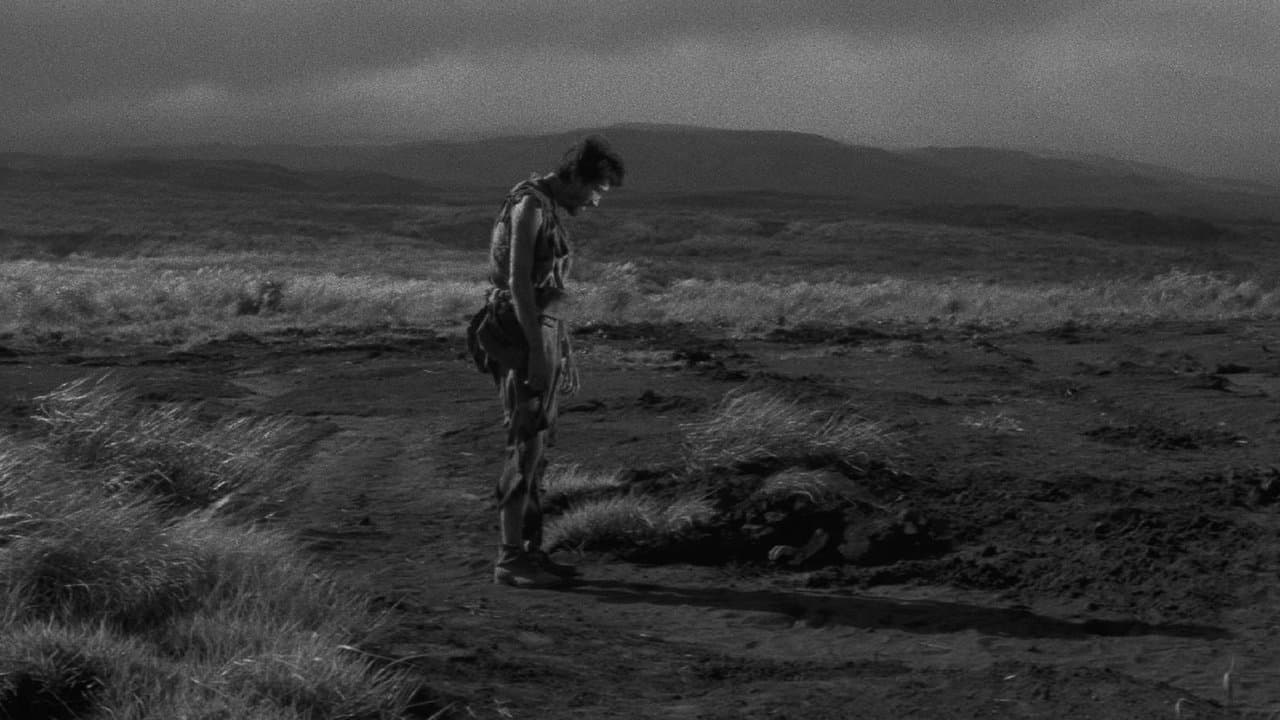 Nobi (Fuego en la llanura)