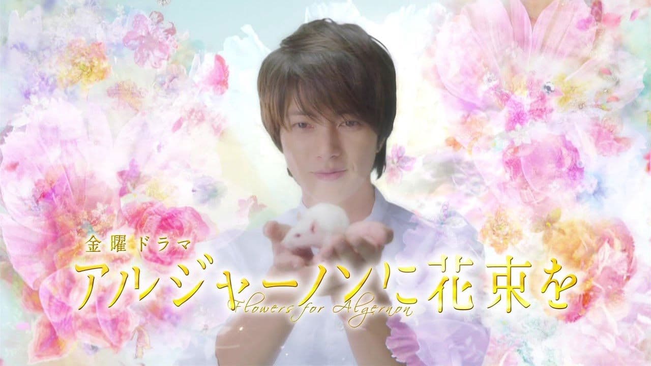 Flores para Algernon