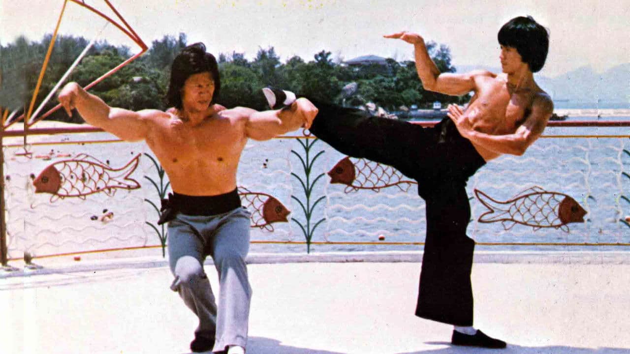 Bruce Lee el rey del Kung Fu