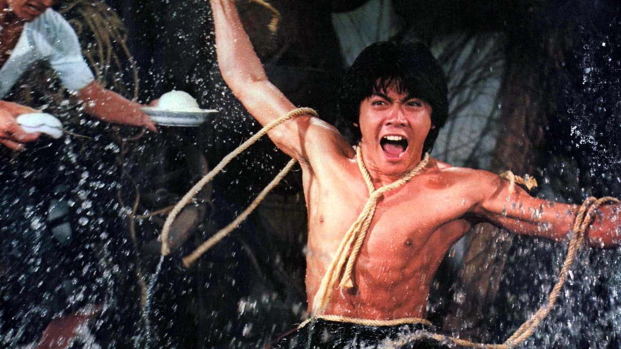 Wu long tian shi zhao ji gui (Kung Fu Zombie)